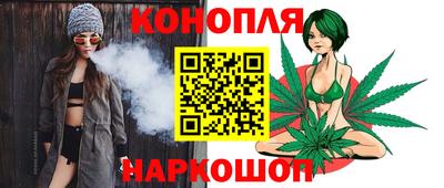 крисы Белореченск