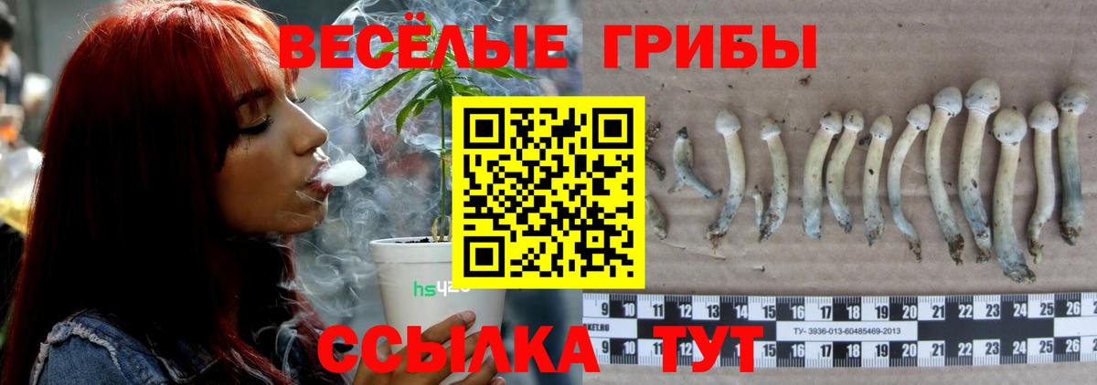 Пугачёв  Галлюциногенные грибы GOLDEN TEACHER  Вход с VPN 