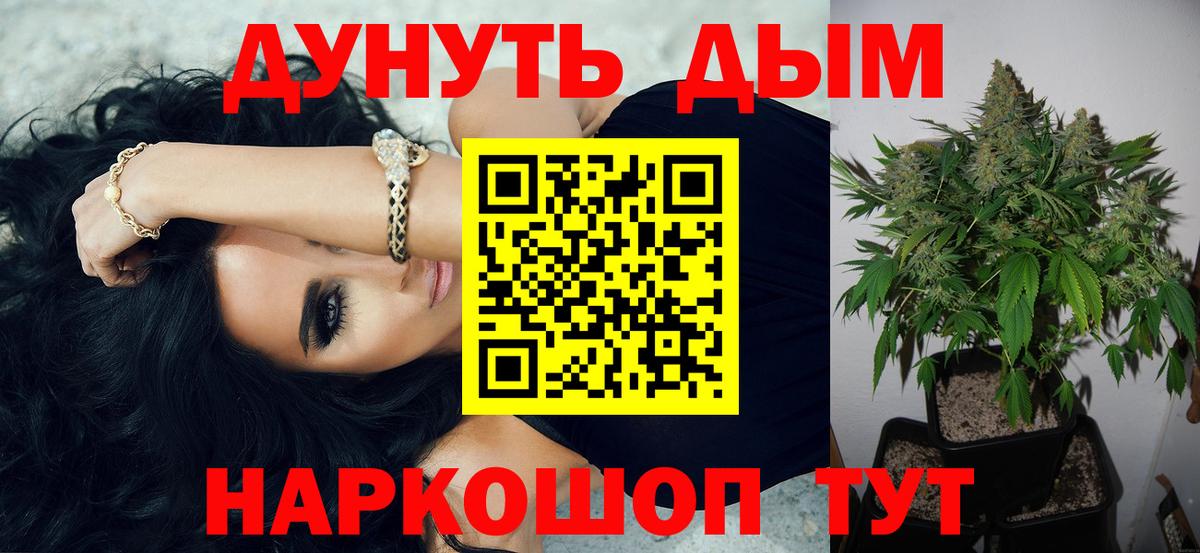 Шишки марихуана конопля Пугачёв